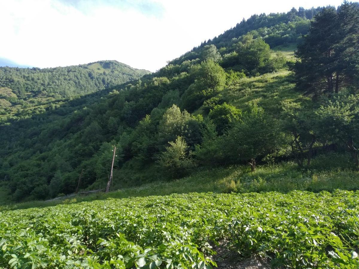 مبيت وإفطار ميستيا Raul Lushnu Darbaz المظهر الخارجي الصورة